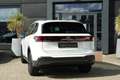 Volkswagen Tiguan 1.5 eTSI Life Edition 150pk Navigatie/Stoelverwarm Wit - thumbnail 21