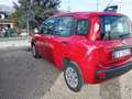 Fiat Panda Panda III 2012 1.2 Pop 69cv E6 Rouge - thumbnail 4