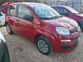 Fiat Panda Panda III 2012 1.2 Pop 69cv E6 Rouge - thumbnail 2