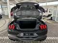 Ford Mustang 5.0 V8 DARK HORSE 6 g - DARK Matter Gray Gris - thumbnail 18