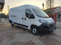 Fiat Ducato 33 2.3 MJT 160CV PLM-TA Furgone Wit - thumbnail 2
