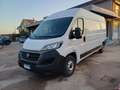 Fiat Ducato 33 2.3 MJT 160CV PLM-TA Furgone Wit - thumbnail 1