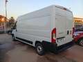 Fiat Ducato 33 2.3 MJT 160CV PLM-TA Furgone Wit - thumbnail 4