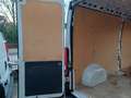 Fiat Ducato 33 2.3 MJT 160CV PLM-TA Furgone Wit - thumbnail 12