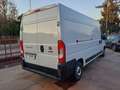 Fiat Ducato 33 2.3 MJT 160CV PLM-TA Furgone Wit - thumbnail 3