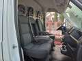 Fiat Ducato 33 2.3 MJT 160CV PLM-TA Furgone Wit - thumbnail 6