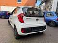 Kia Picanto Attract Blanc - thumbnail 6