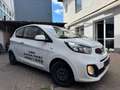 Kia Picanto Attract Blanc - thumbnail 4