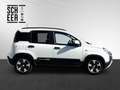 Fiat Panda Pandina Fire Fly Hybrid 70 Weiß - thumbnail 19