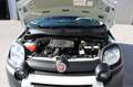 Fiat Panda Pandina Fire Fly Hybrid 70 Weiß - thumbnail 18