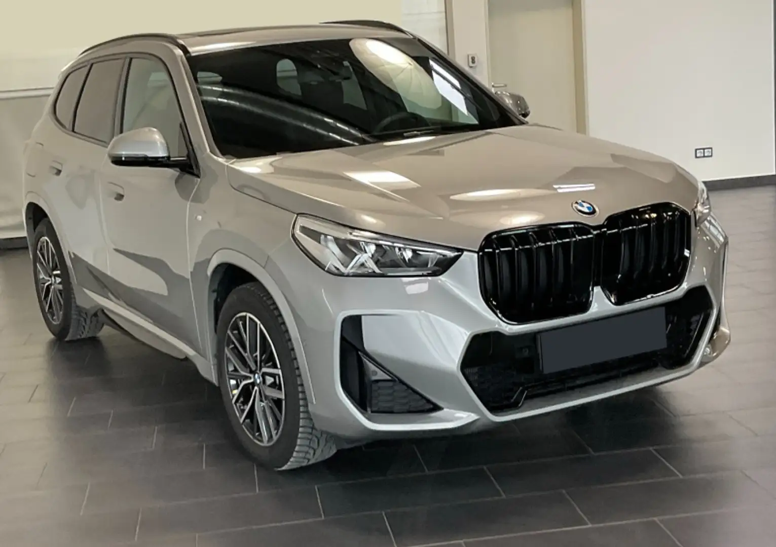 BMW X1 sDrive 20i Msport Argento - 2
