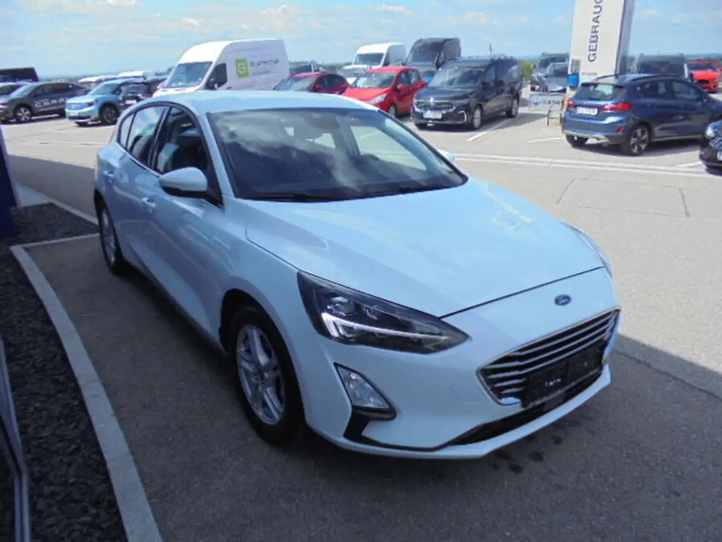 Ford Focus Cool&Connect 100PS Benzin Wit - 2
