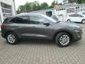 Ford Kuga Plug-In Hybrid Titanium X AHK Grau - thumbnail 3