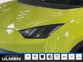 BYD Dolphin Comfort Leder Navi Sitzheizung DAB+ Soundsystem Verde - thumbnail 6