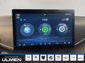 BYD Dolphin Comfort Leder Navi Sitzheizung DAB+ Soundsystem Verde - thumbnail 10