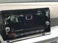 SEAT Arona Style Edition 1.0 TSI DSG SHZ/APP/PDC/18LM Grau - thumbnail 14