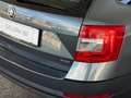Skoda Octavia Octavia Combi 1,6 Ambition Limited TDI 4x4 *ALLRAD*8-FACH BEREIFT*CARPLAY* Grau - thumbnail 7