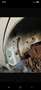 Mercedes-Benz E 270 Elegance CDI Sequentronic neues Pickerl - thumbnail 7