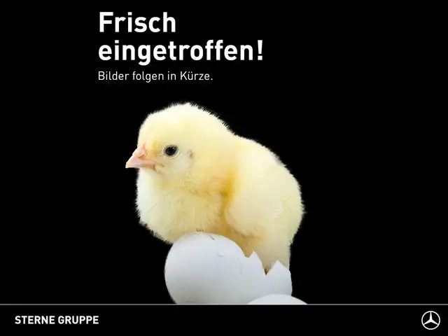 smart #5 #5 Premium (100kWh) Pano.-Dach/eSitz./LED/Klima