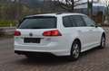Volkswagen Golf Variant Sport 1,6 TDI+SHZ+PDC+ Weiß - thumbnail 3
