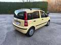 Fiat Panda Panda 1.2 Dynamic 69cv E5 Amarillo - thumbnail 4