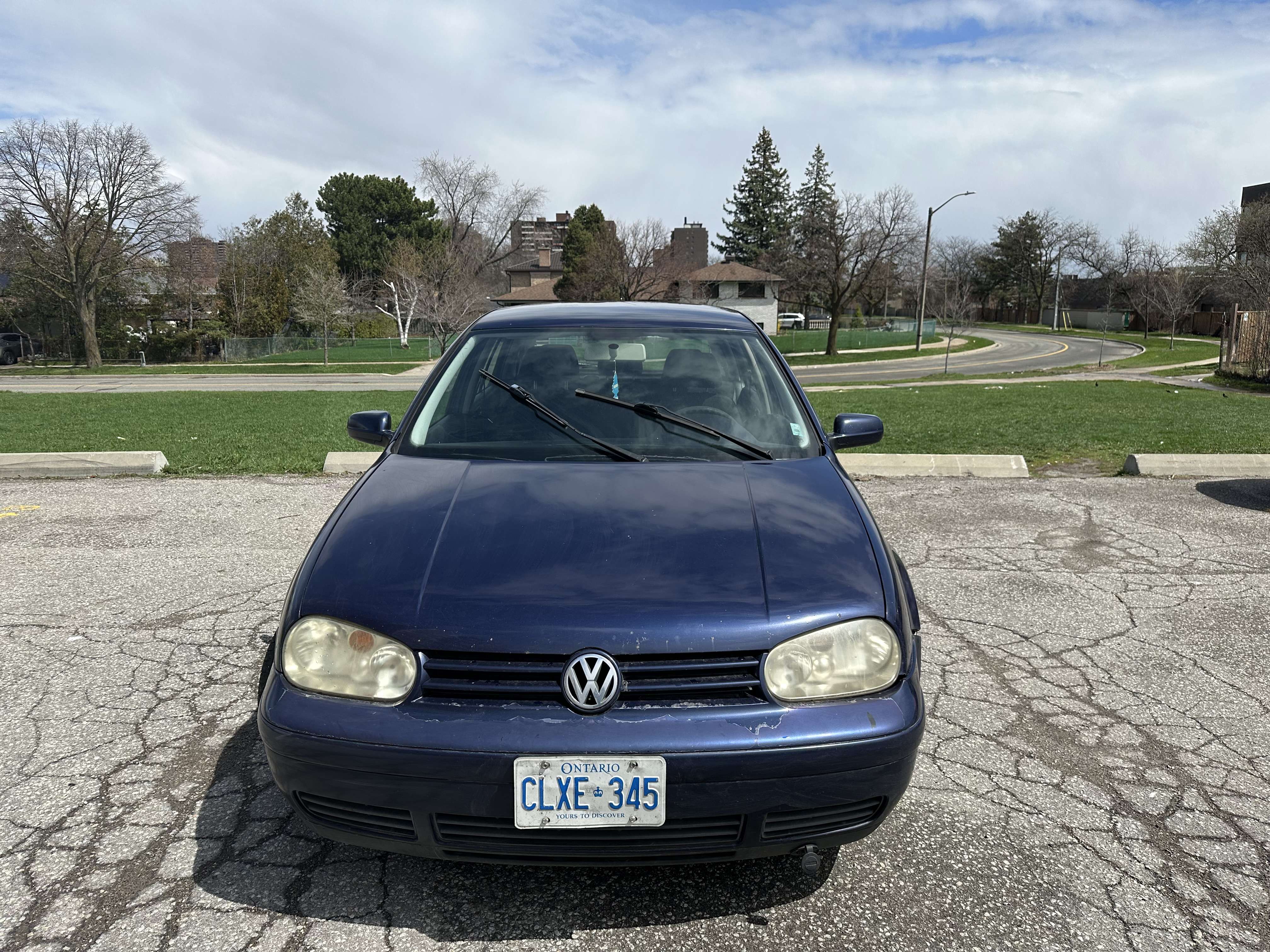 2004 Volkswagen Golf GLS alt 2