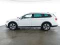 Volkswagen Passat Alltrack TDI 4MOTION DSG Weiß - thumbnail 10