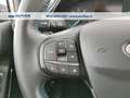 Ford Fiesta Active 1.0 ecoboost hybrid 125cv Grigio - thumbnail 15