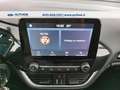 Ford Fiesta Active 1.0 ecoboost hybrid 125cv Grigio - thumbnail 12