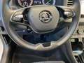 Skoda Karoq Style 2.0 TDI DSG AHK LMF KeyLess Navi Weiß - thumbnail 19