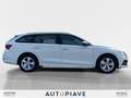 Skoda Octavia 2.0 TDI EVO SCR Wagon Ambition Wit - thumbnail 6
