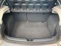 SEAT Ibiza REFERENCE Lim. 1.4 16V KLIMA+ISOFIX+ABS Grigio - thumbnail 12