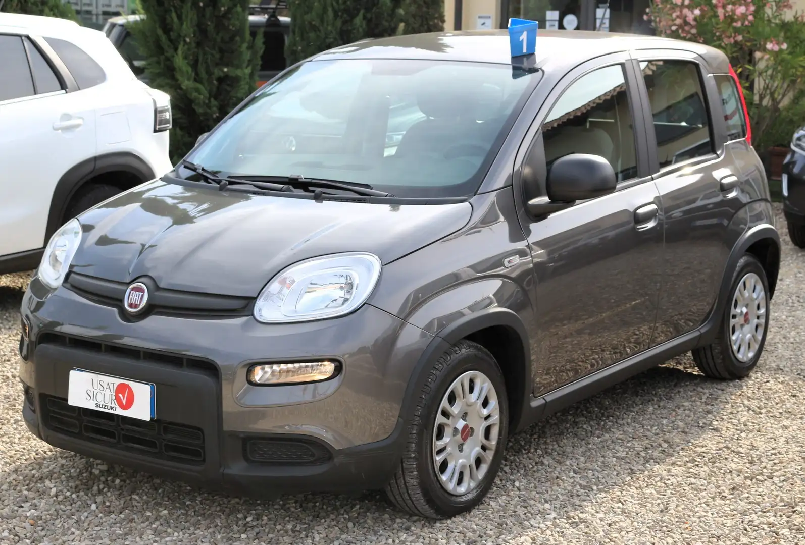 Fiat Panda 1.0 FIREFLY HYBRID S Grau - 2