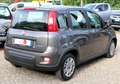 Fiat Panda 1.0 FIREFLY HYBRID S Grau - thumbnail 5