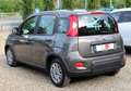 Fiat Panda 1.0 FIREFLY HYBRID S Grau - thumbnail 4