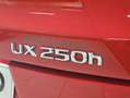 Lexus UX 250h Premium 4WD Rojo - thumbnail 34