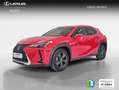 Lexus UX 250h Premium 4WD Rojo - thumbnail 1