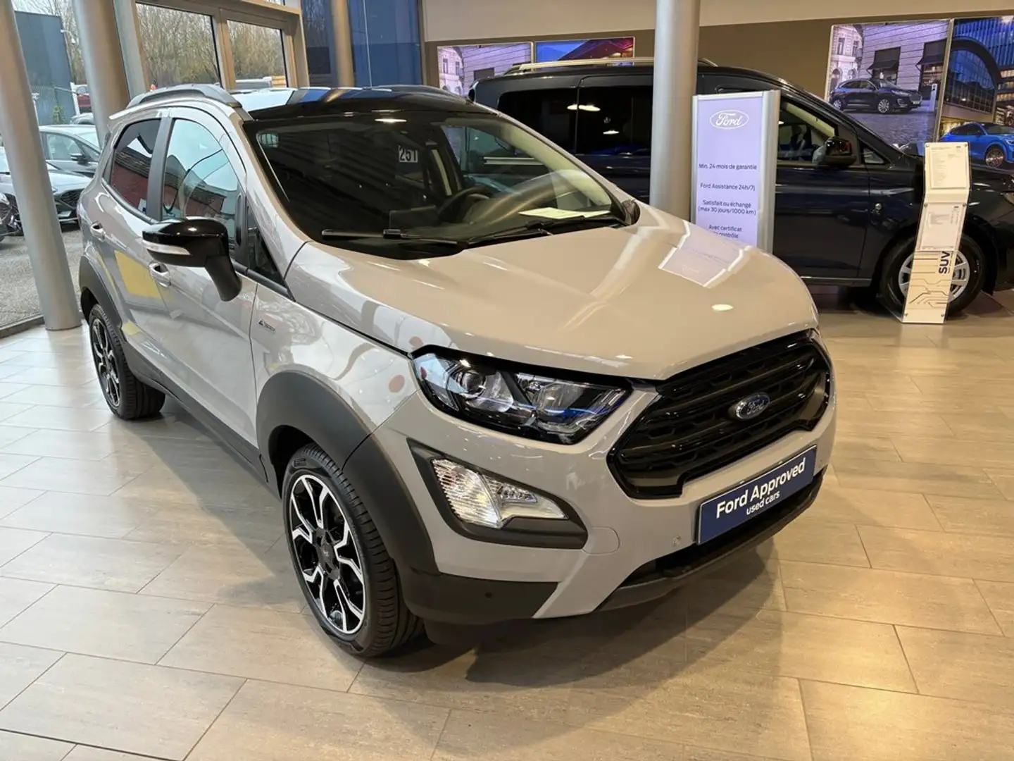 Ford EcoSport ACTIVE Gris - 1
