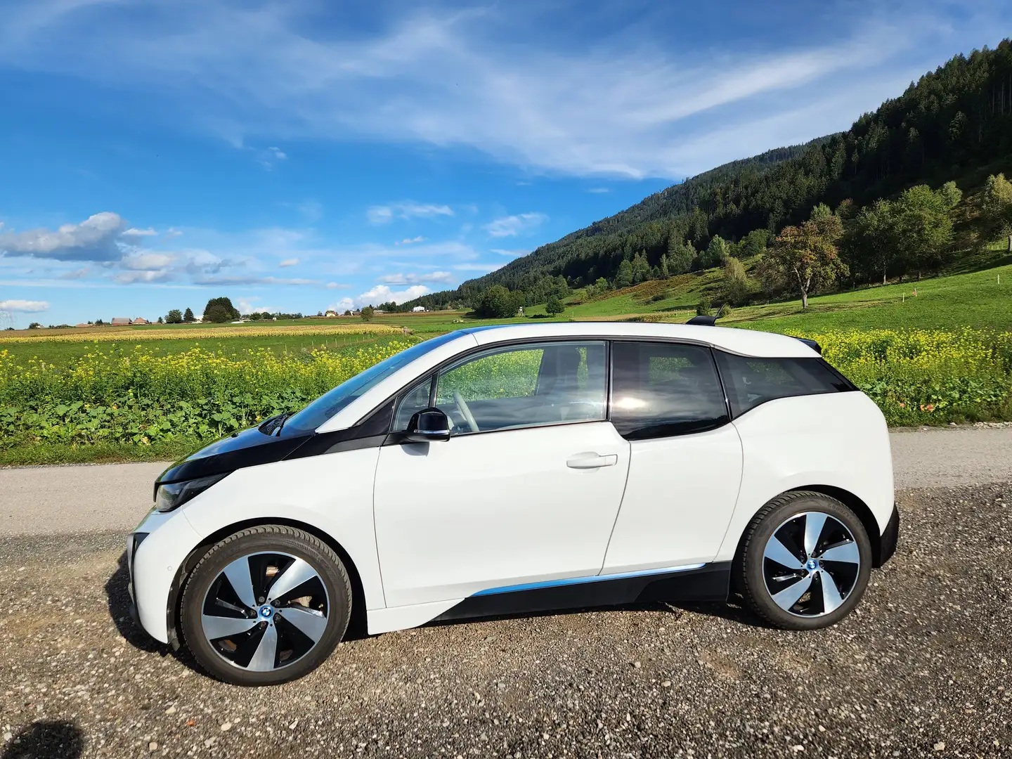 BMW i3 i3 94 Ah REx Loft, ÖAMTC Gutachten & Batteriezertifikat Weiß - 1