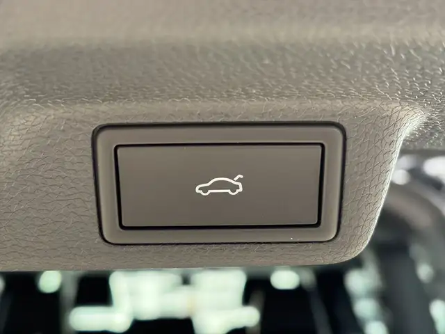 Volkswagen ID. Buzz VW ID. Buzz GTX LR 4MOTION 250 kW Ansicht 11