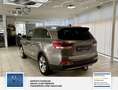 Kia Sorento Edition* 7.Sitzer* 2WD* 7 Sitzer* Panorama*Scheckh Grau - thumbnail 15