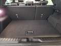 Ford Puma ST-Line X - PANORAMA KEYLESS ACC BLIS LED Grau - thumbnail 12