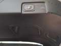Ford Puma ST-Line X - PANORAMA KEYLESS ACC BLIS LED Grau - thumbnail 13