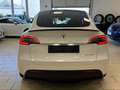 Tesla Model Y Y Performance Dual Motor Wit - thumbnail 25