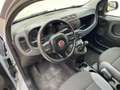 Fiat Panda 1.2 Lounge easypower Gpl 69cv Grigio - thumbnail 9