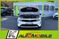 Opel Astra 1.2 Business Elegance LED+Navi+Kamera+AHK Weiß - thumbnail 5