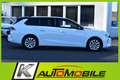 Opel Astra 1.2 Business Elegance LED+Navi+Kamera+AHK Weiß - thumbnail 3