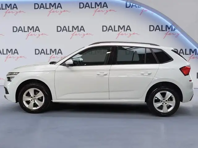 Skoda Kamiq view 2
