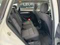 Audi Q5 2.0 TDI Quattro*AHK*Pano* Blanc - thumbnail 16