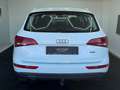 Audi Q5 2.0 TDI Quattro*AHK*Pano* Blanc - thumbnail 9